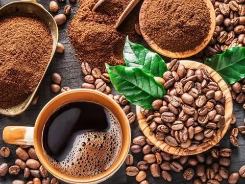 Giá cà phê hôm nay 23/8/2025: Cà phê Việt Nam chạm mốc cao mới, xuất khẩu “bùng nổ”