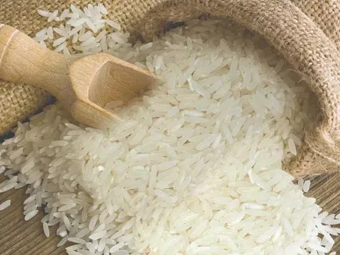 Giá lúa gạo hôm nay 22/8/2025: Thị trường ổn định, xuất khẩu giữ vững