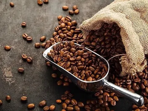 Giá cà phê hôm nay 29/8/2025: Cao nhất gần 124.000 đồng/kg