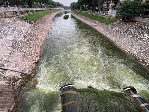 Hà Nội: Sông Tô Lịch đổi màu xanh, người dân mang cần ra câu cá