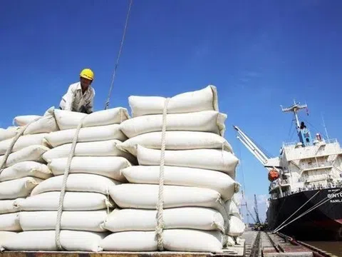 Hải Phòng ra thông báo sau khi Philippines tạm dừng nhập khẩu gạo