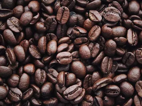 Giá cà phê hôm nay 12/9/2025: Robusta duy trì đà tăng, Arabica điều chỉnh giảm