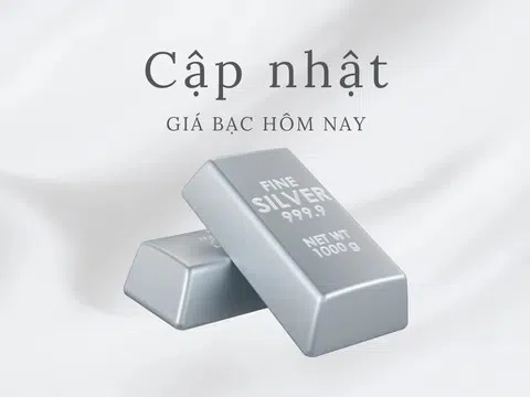 Giá bạc hôm nay 12/9/2025: Biến động trái chiều trong nước và thế giới