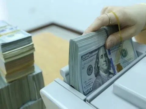 Tỷ giá USD hôm nay 11/9/2025: Thế giới biến động trái chiều, trong nước ổn định