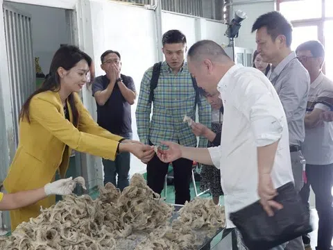 Đẩy mạnh xúc tiến đầu tư và mở rộng thị trường tiêu thụ sản phẩm xanh
