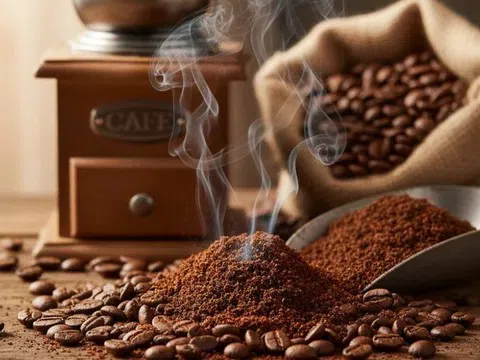 Giá cà phê hôm nay 3/10/2025: Tăng mạnh gần 2.000 đồng/kg, kỳ vọng xuất khẩu bứt phá cuối năm