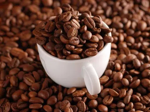 Giá cà phê hôm nay 10/10/2025: Quay đầu tăng 1.000 đồng/kg