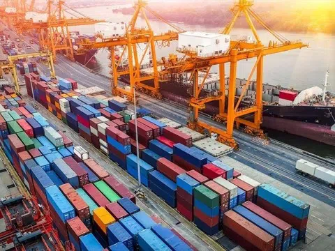 Xuất khẩu “vượt bão” thuế quan, lợi nhuận nhiều doanh nghiệp dự báo tích cực