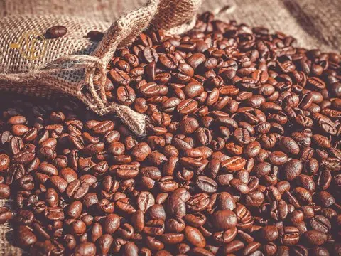 Giá cà phê hôm nay 16/10/2025: Trong nước giảm nhẹ, thế giới “chia hai”
