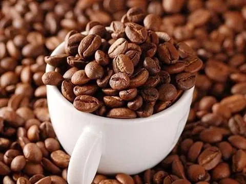 Giá cà phê hôm nay 22/10/2025: Cao nhất 116.000 đồng/kg