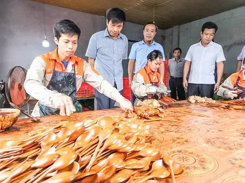 Quảng Trị: Đẩy mạnh hỗ trợ nông dân, phục hồi và phát triển nông nghiệp, nông thôn bền vững