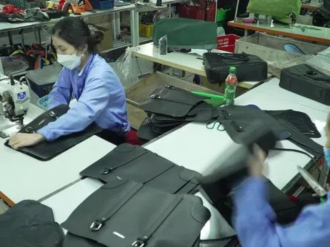 Nâng cao năng lực phòng vệ thương mại cho ngành da giày Việt Nam