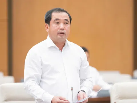 Bổ sung các quy định riêng về quản lý, chế biến và sử dụng đất hiếm