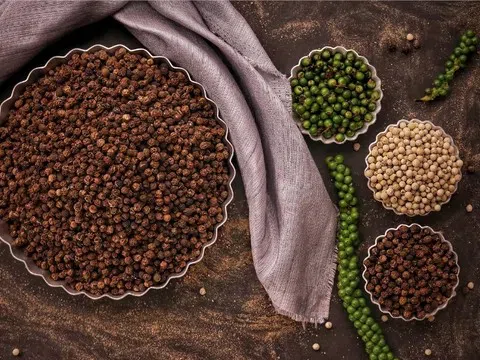 Giá tiêu hôm nay 4/11/2025: Bật tăng trở lại