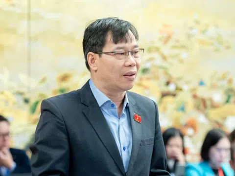 ĐBQH băn khoăn về tiêu chuẩn giám đốc doanh nghiệp bảo hiểm