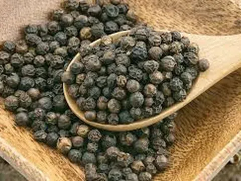 Giá tiêu hôm nay 3/11/2025: Duy trì ổn định, cao nhất 148.000 đồng/kg