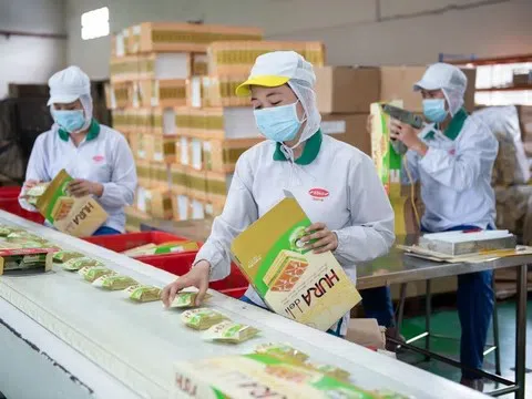 Tập đoàn hàng tiêu dùng của Indonesia mua lại Bibica