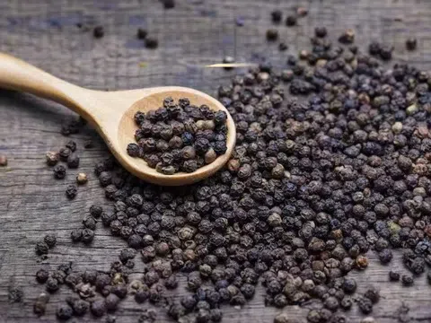 Giá tiêu hôm nay 8/11/2025: Thị trường ổn định