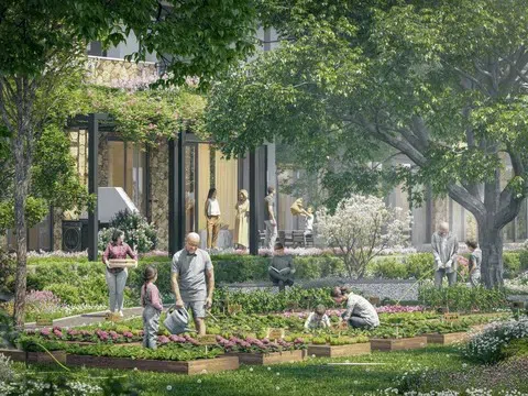 Nhà sáng lập Ecopark ra mắt phân khu biệt thự dưới tán rừng tại Eco Retreat