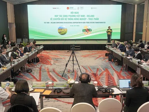 Việt Nam - Ireland tăng cường hợp tác chuyển đổi hệ thống nông nghiệp và thực phẩm