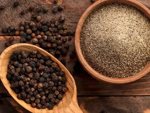 Giá tiêu hôm nay 9/11/2025: Hồ tiêu neo ở mức cao