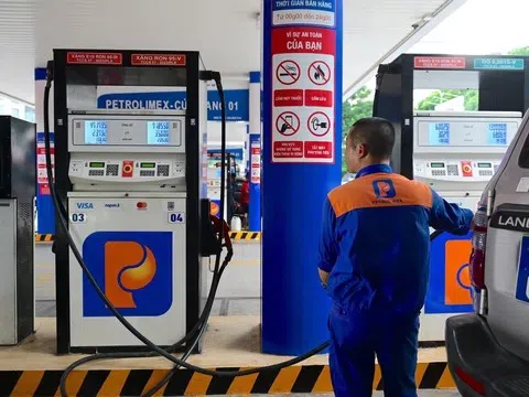 Giá xăng dầu hôm nay 7/11: Cập nhật chi tiết giá thế giới và trong nước