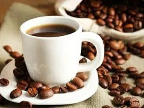 Giá cà phê hôm nay 11/11/2025: Ghi nhận khu vực Tây Nguyên tăng nhẹ