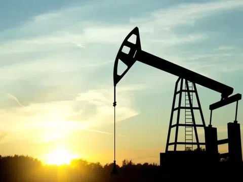 Giá xăng dầu hôm nay 10/11: Cập nhật chi tiết giá thế giới và trong nước