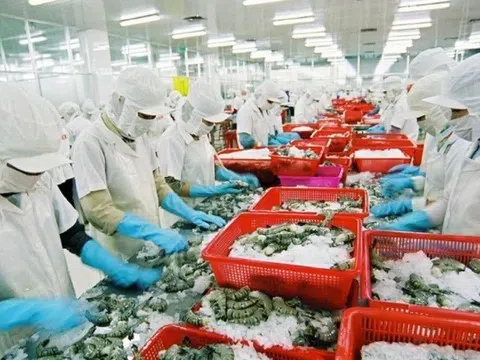 Lợi nhuận doanh nghiệp thủy sản dự báo giảm tốc trong quý cuối năm