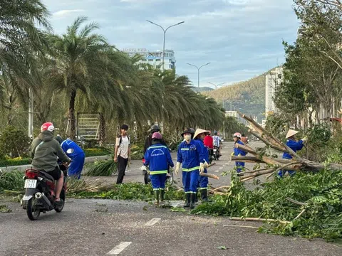 Bão số 13 suy yếu, Gia Lai tan hoang sau cơn cuồng phong