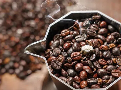 Giá cà phê hôm nay 17/11/2025: Giảm mạnh hơn 9,000 đồng/kg