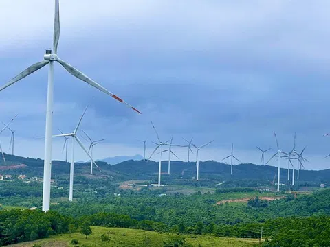 Điện gió Quảng Trị cắt giảm công suất, hướng đi nào cho phát triển năng lượng tái tạo bền vững?