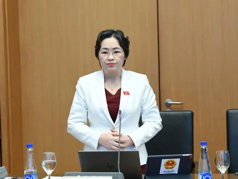 Nên thận trọng khi cho địa phương cấp phép thăm dò, khai thác kim loại quý