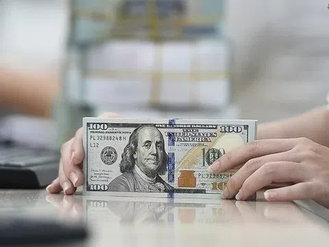 Tỷ giá USD hôm nay 21/11/2025: Cập nhật chi tiết thị trường trong nước và quốc tế