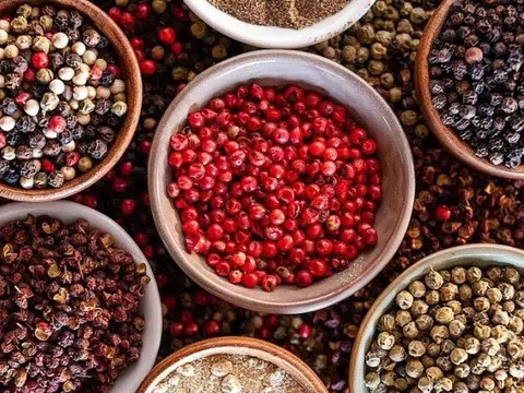 Giá tiêu hôm nay 25/11/2025: Tăng mạnh, tiến sát đỉnh kỷ lục