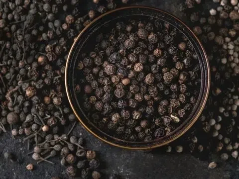 Giá tiêu hôm nay 26/11/2025: Thị trường tăng nhẹ do mưa lũ kéo dài