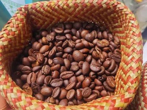 Giá cà phê hôm nay 28/11/2025: Cà phê nội địa quay đầu giảm