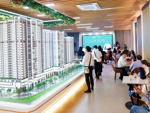 TP.HCM kiểm tra dự án bất động sản bán “lúa non”, tăng giá bất thường