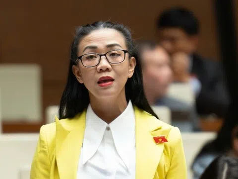 Cần vai trò giám sát độc lập trong chuỗi hoạt động tuyển - tách - chế biến đất hiếm