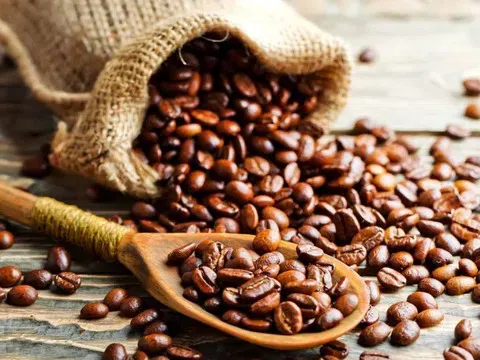 Giá cà phê hôm nay 2/12/2025: Hai sàn cùng giảm, robusta “bốc hơi” gần 100 USD/tấn