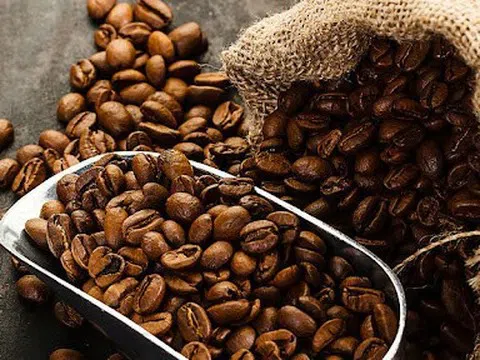 Giá cà phê hôm nay 5/12/2025: Giá cà phê tiếp đà giảm mạnh