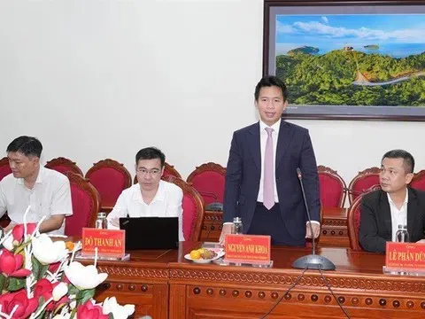 Năng lượng VinEnergo thuộc Vingroup có CEO mới