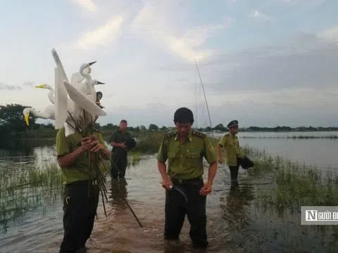 Huế triển khai nhiều biện pháp để ngăn chặn nạn săn bắt chim hoang dã