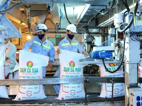 Vừa nâng chỉ tiêu kinh doanh năm 2025 lên gấp đôi, Phân bón Cà Mau lại đặt kế hoạch 2026 “đi lùi”