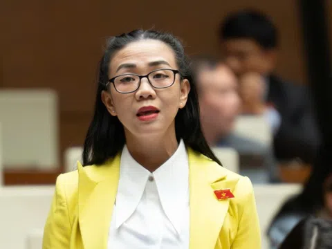 Cần vai trò giám sát độc lập trong chuỗi hoạt động tuyển - tách - chế biến đất hiếm