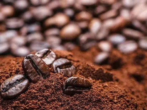 Giá cà phê hôm nay 7/12/2025: Chốt tuần không đổi