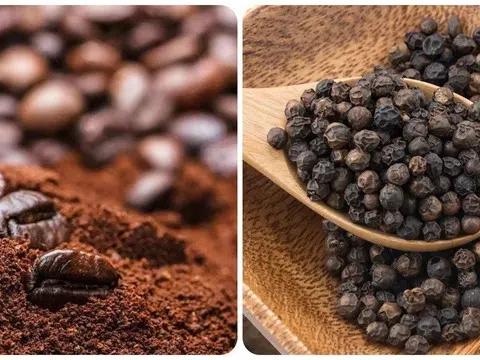 Nguồn cung phục hồi giá cà phê giảm sâu, hồ tiêu biến động trái chiều