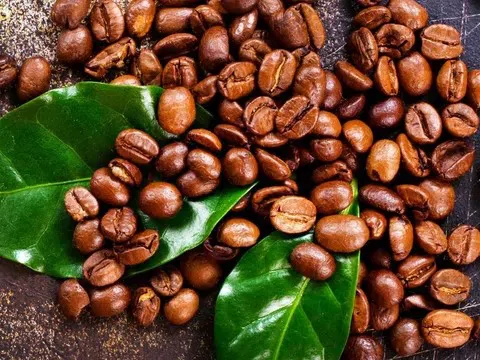 Giá cà phê hôm nay 12/12/2025: Arabica tiếp tục tăng mạnh, trong khi robusta lại giảm nhẹ