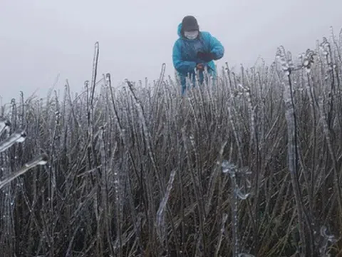 Dự báo thời tiết 11/12: Miền Bắc sắp đón không khí lạnh rất mạnh