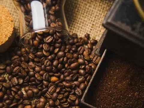 Giá cà phê hôm nay 14/12/2025: Trong nước rơi khỏi mốc 100.000 đồng/kg